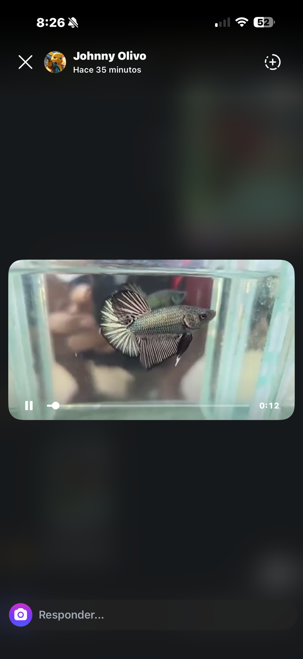 6 bettas